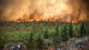 Izgorelo 550 hektara rastinja